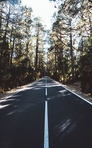 Preview wallpaper road, marking, distance, trees, forest