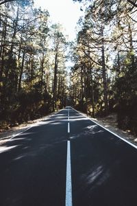 Preview wallpaper road, marking, distance, trees, forest