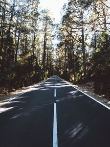 Preview wallpaper road, marking, distance, trees, forest