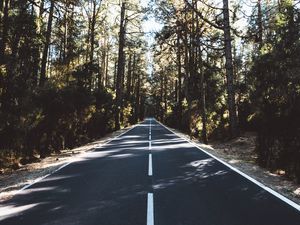 Preview wallpaper road, marking, distance, trees, forest