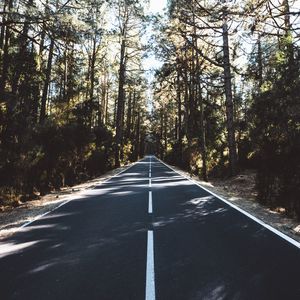 Preview wallpaper road, marking, distance, trees, forest