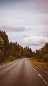 Preview wallpaper road, marking, distance, trees, forest, sky