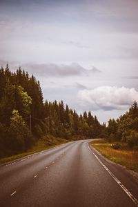 Preview wallpaper road, marking, distance, trees, forest, sky