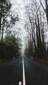 Preview wallpaper road, marking, fog, trees