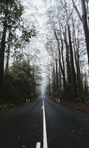 Preview wallpaper road, marking, fog, trees