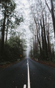 Preview wallpaper road, marking, fog, trees
