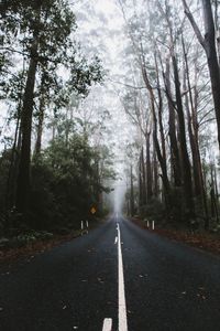 Preview wallpaper road, marking, fog, trees