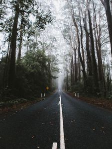 Preview wallpaper road, marking, fog, trees
