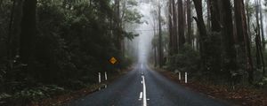 Preview wallpaper road, marking, fog, trees