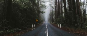 Preview wallpaper road, marking, fog, trees