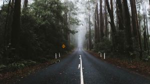 Preview wallpaper road, marking, fog, trees