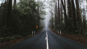 Preview wallpaper road, marking, fog, trees