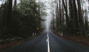 Preview wallpaper road, marking, fog, trees