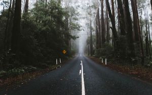 Preview wallpaper road, marking, fog, trees