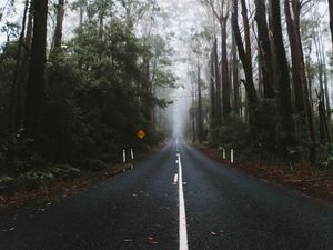 Preview wallpaper road, marking, fog, trees