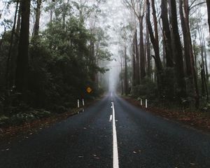 Preview wallpaper road, marking, fog, trees