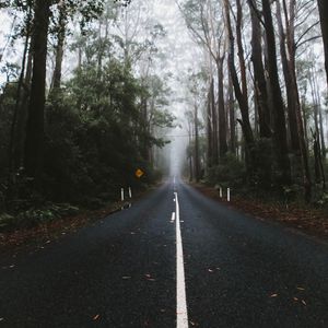 Preview wallpaper road, marking, fog, trees