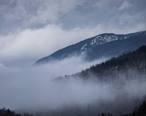 Preview wallpaper road, marking, fog, hills, trees