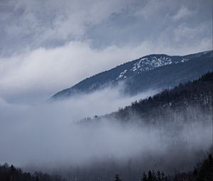 Preview wallpaper road, marking, fog, hills, trees