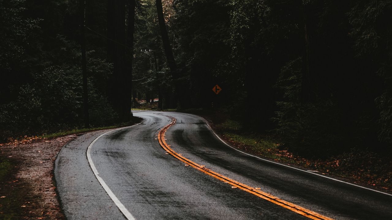 Wallpaper road, marking, forest, trees