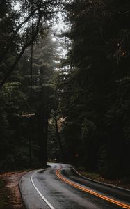 Preview wallpaper road, marking, forest, trees