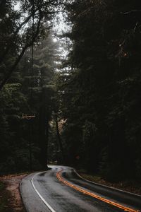 Preview wallpaper road, marking, forest, trees