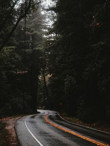 Preview wallpaper road, marking, forest, trees