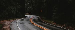 Preview wallpaper road, marking, forest, trees