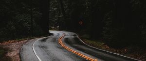 Preview wallpaper road, marking, forest, trees