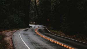 Preview wallpaper road, marking, forest, trees