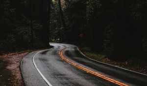 Preview wallpaper road, marking, forest, trees