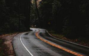 Preview wallpaper road, marking, forest, trees