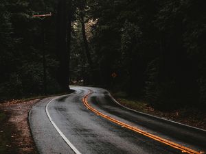 Preview wallpaper road, marking, forest, trees