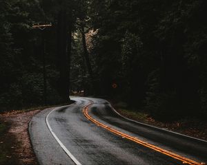 Preview wallpaper road, marking, forest, trees