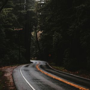 Preview wallpaper road, marking, forest, trees