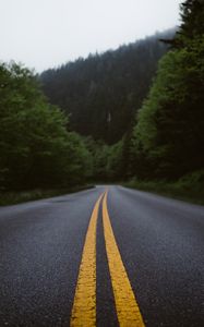 Preview wallpaper road, marking, forest, bushes