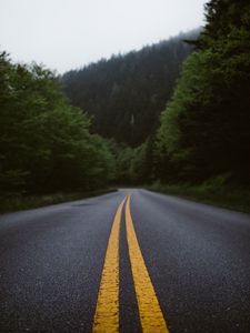 Preview wallpaper road, marking, forest, bushes
