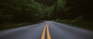 Preview wallpaper road, marking, forest, bushes