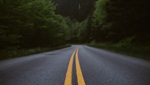 Preview wallpaper road, marking, forest, bushes