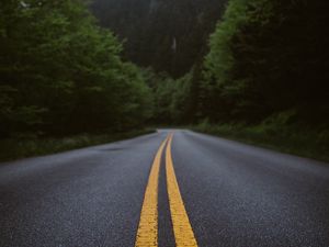 Preview wallpaper road, marking, forest, bushes