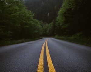 Preview wallpaper road, marking, forest, bushes