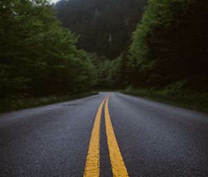 Preview wallpaper road, marking, forest, bushes