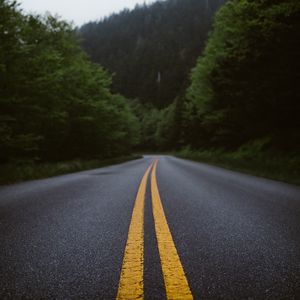 Preview wallpaper road, marking, forest, bushes