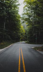 Preview wallpaper road, marking, forest, trees, bushes