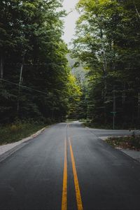 Preview wallpaper road, marking, forest, trees, bushes