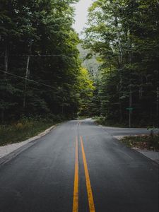 Preview wallpaper road, marking, forest, trees, bushes