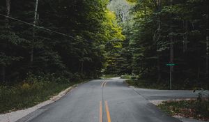 Preview wallpaper road, marking, forest, trees, bushes