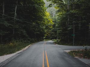 Preview wallpaper road, marking, forest, trees, bushes