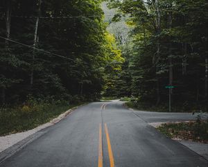 Preview wallpaper road, marking, forest, trees, bushes