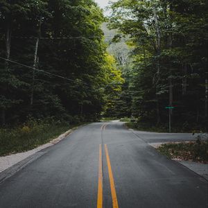 Preview wallpaper road, marking, forest, trees, bushes